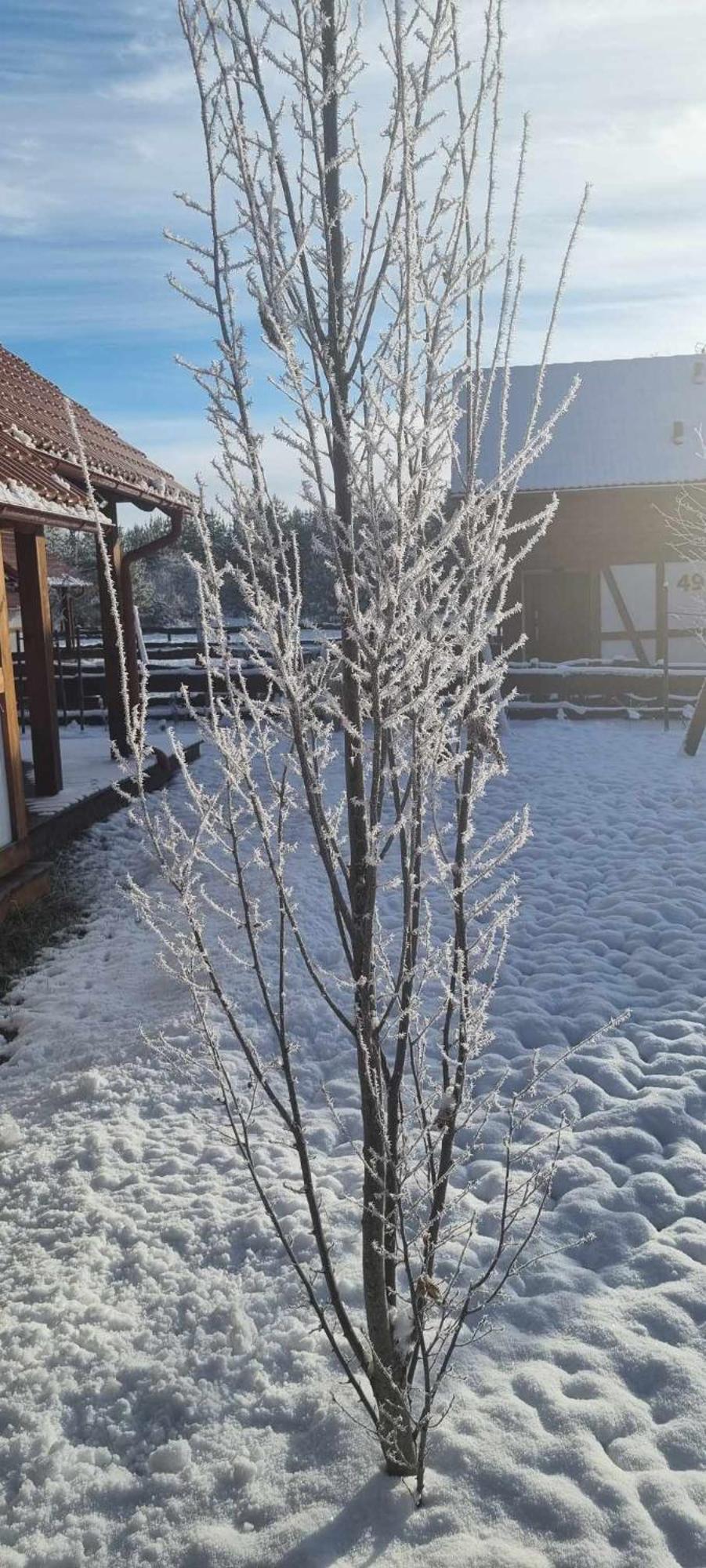 Ptasie Radio, Domek 48.2 Ostoja Bukowo Borowy Mlyn Exterior foto